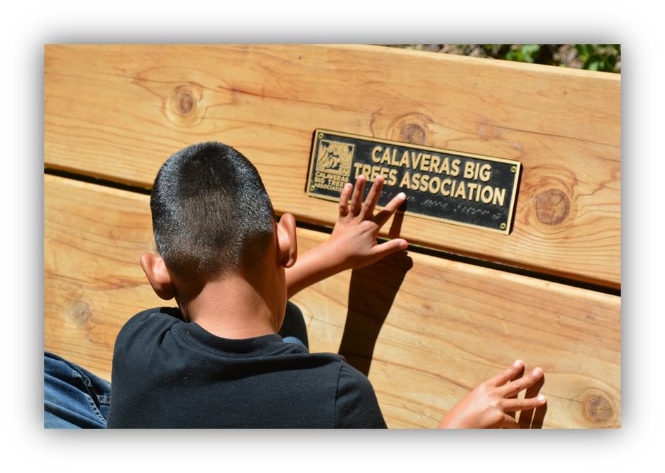 Boy reads braille sign.